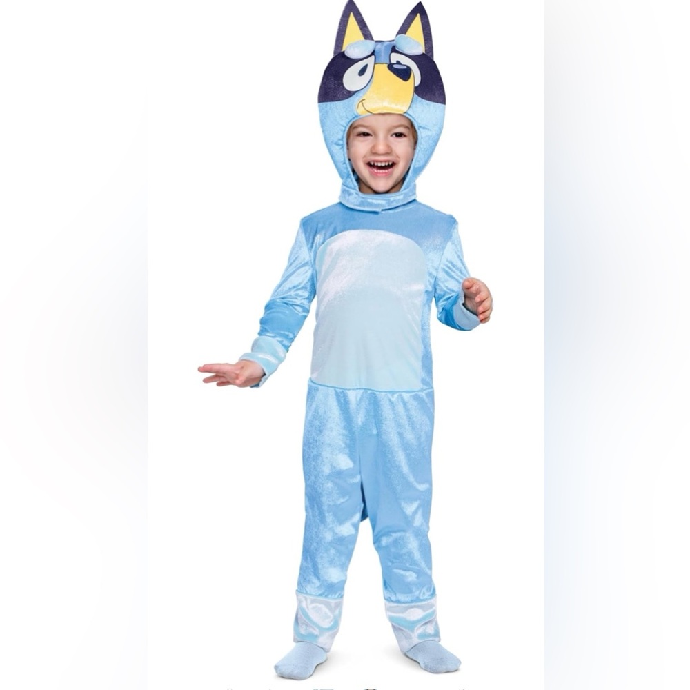 BLUEY Costume